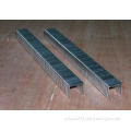 Fine Wire Staple (Haubold 1400) for Furnituring, Industry